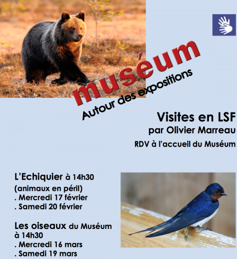 Muséum en LSF à Grenoble