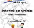 3ème séminaire parents/professionnel APES Lyon